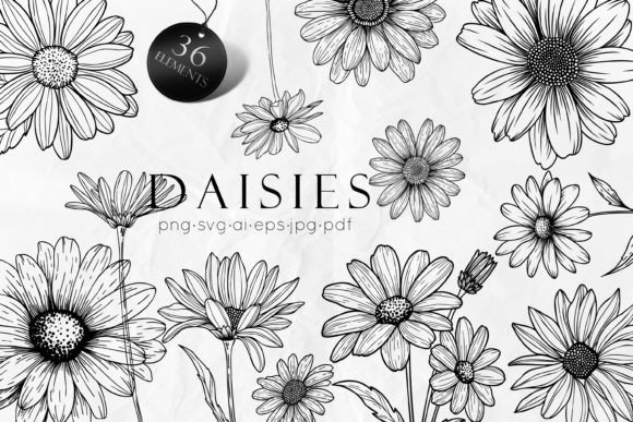 Download Daisy Line Art Drawing SVG - Premium Resources